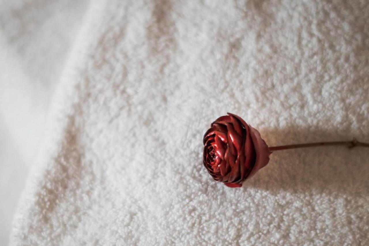 Dimora Delle Muse Bed & Breakfast Montalcino Dış mekan fotoğraf